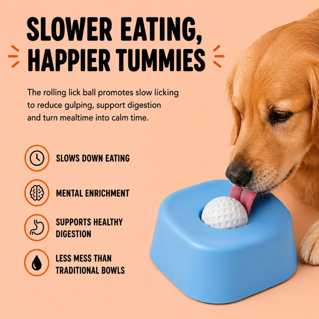 Calm Lick Bowl