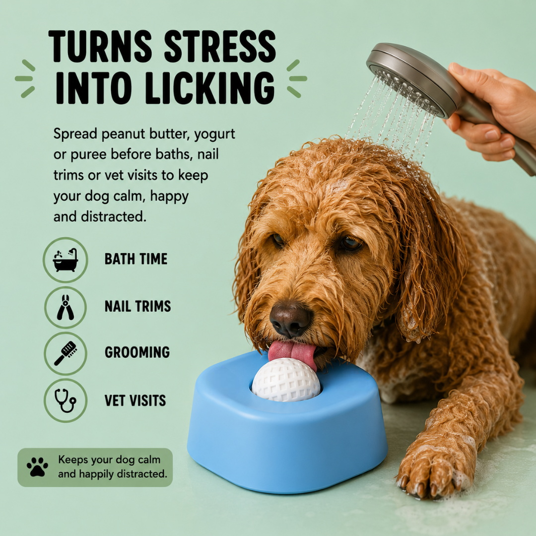 Calm Lick Bowl